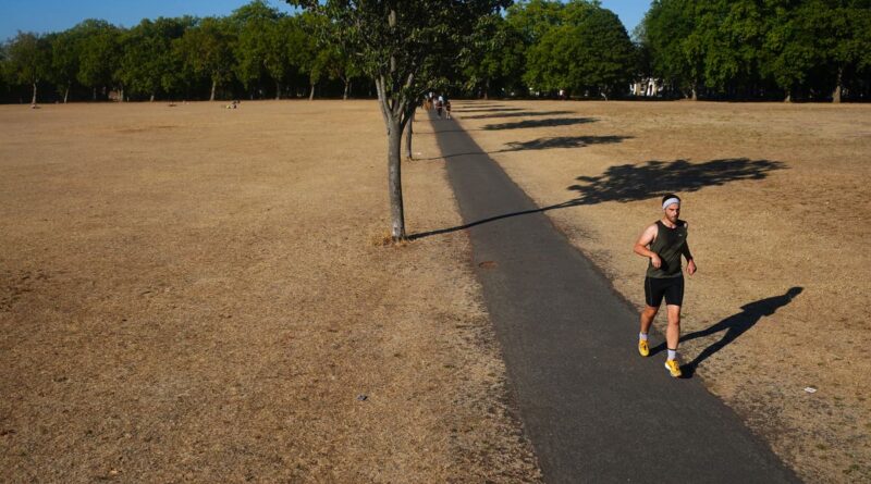 Weekend exercise reduces the risk of cognitive decline, research shows