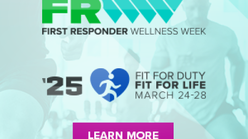 300x250 (4) .png