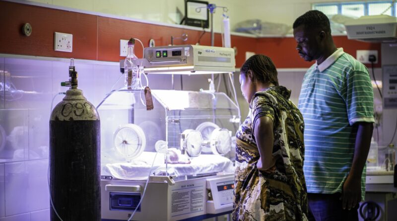 Reboot to get extra attention in incubator and a family looking
